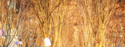 仙台光のページェントはコロナで中止か延期 振替の可能性も 沸騰ワードchannel