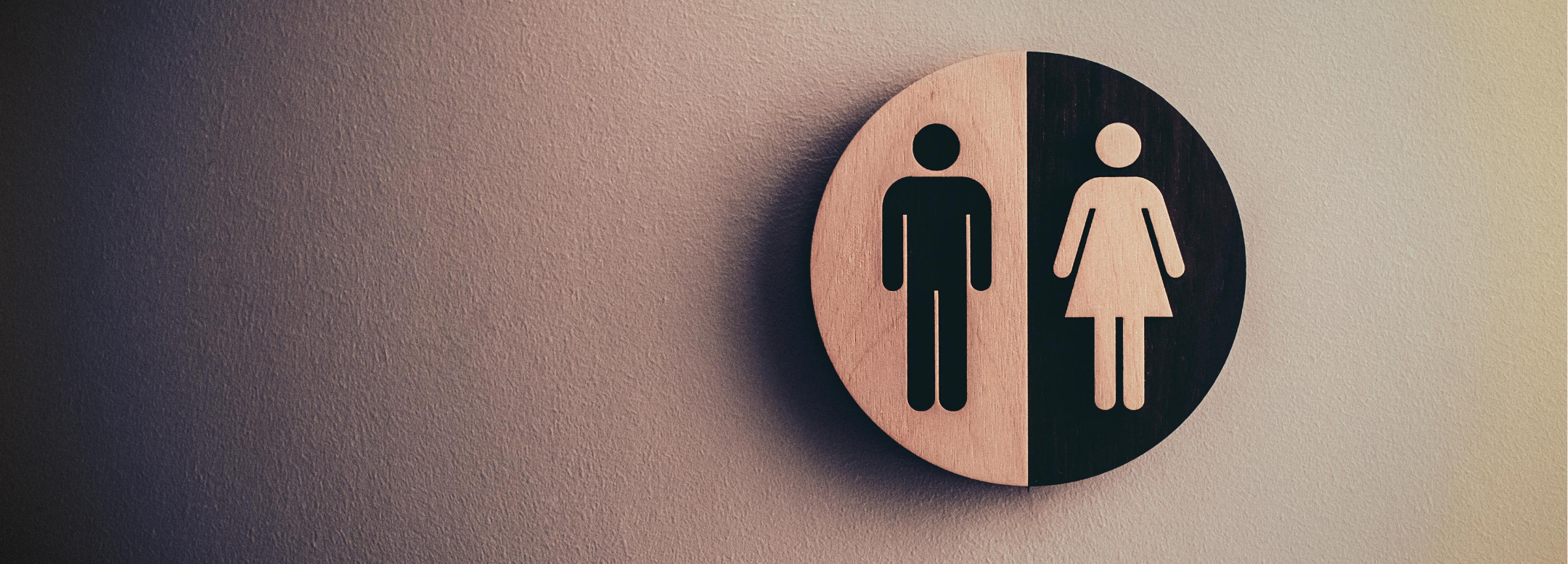 フクロモモンガの臭いは手術で治る 気になる費用や動物の保険も 沸騰ワードchannel